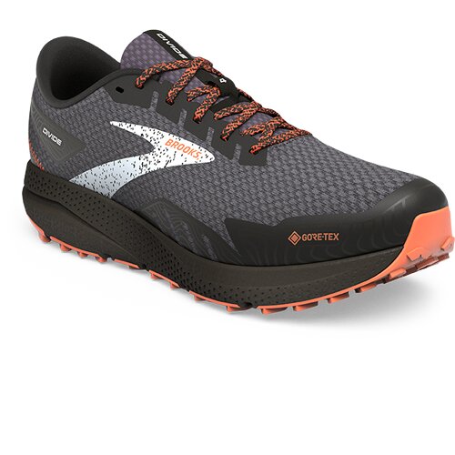 HERREN TRAILRUNNINGSCHUHE DIVIDE 4 GTX