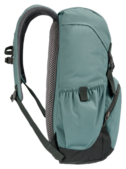 Walker 20