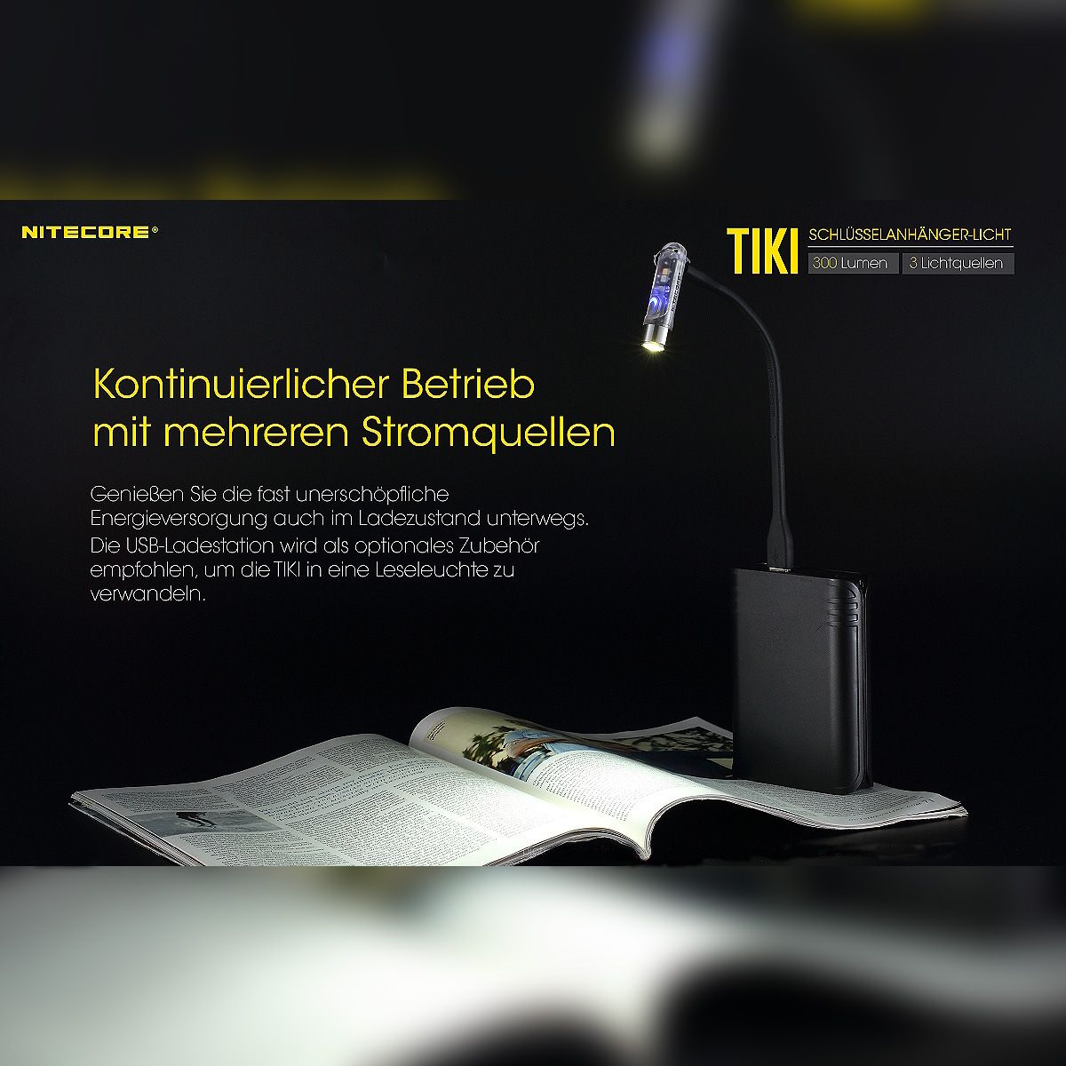 LED Lampe TIKI