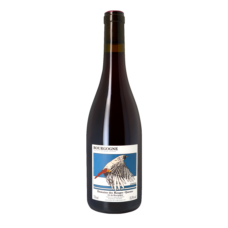 Bourgogne Rouge Envol 2017 - Bourgogne Aoc - Bourgogne - Domaine des Rouges Queues (75CL.)