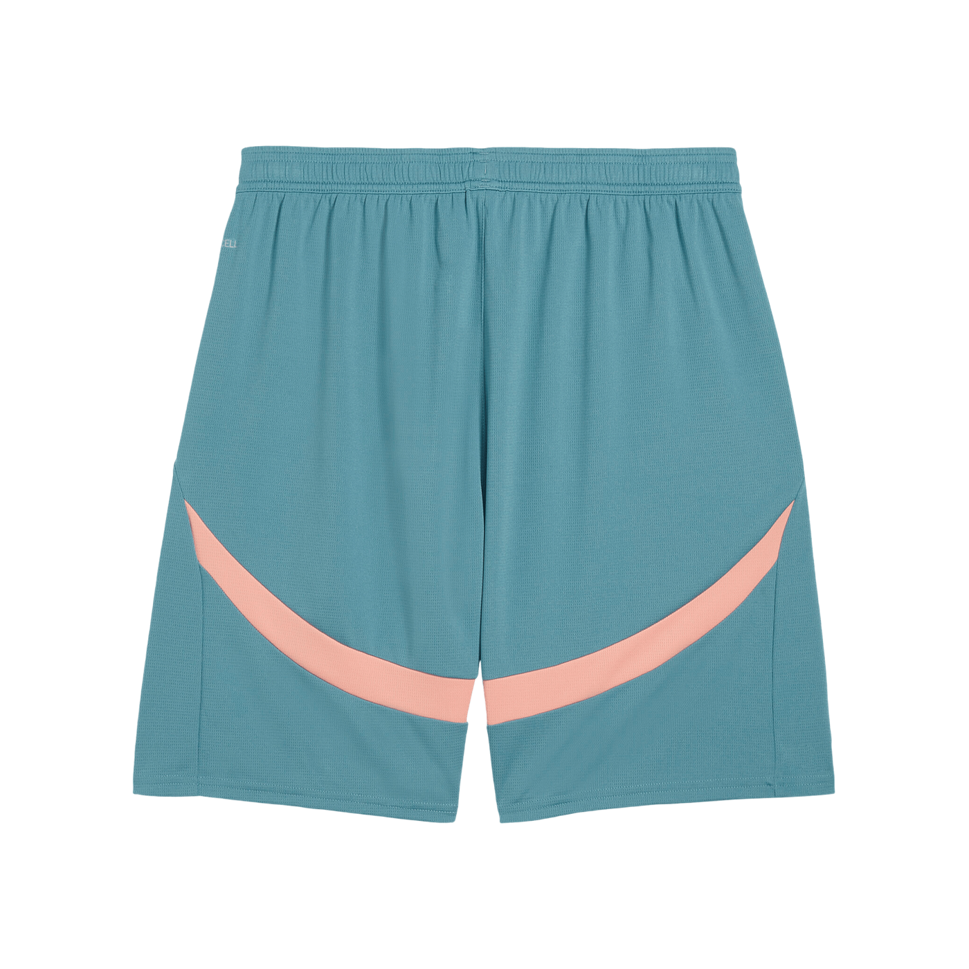 PUMA Manchester City Short 2024/2025 Blau F08