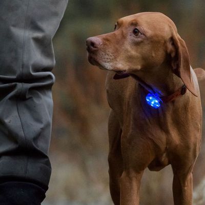 Ruffwear The Beacon™ Safety Light