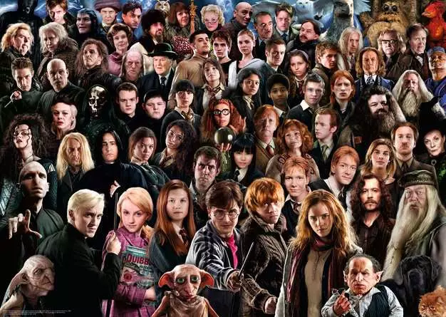 Puzzle 1000 Teile - Challenge Harry Potter