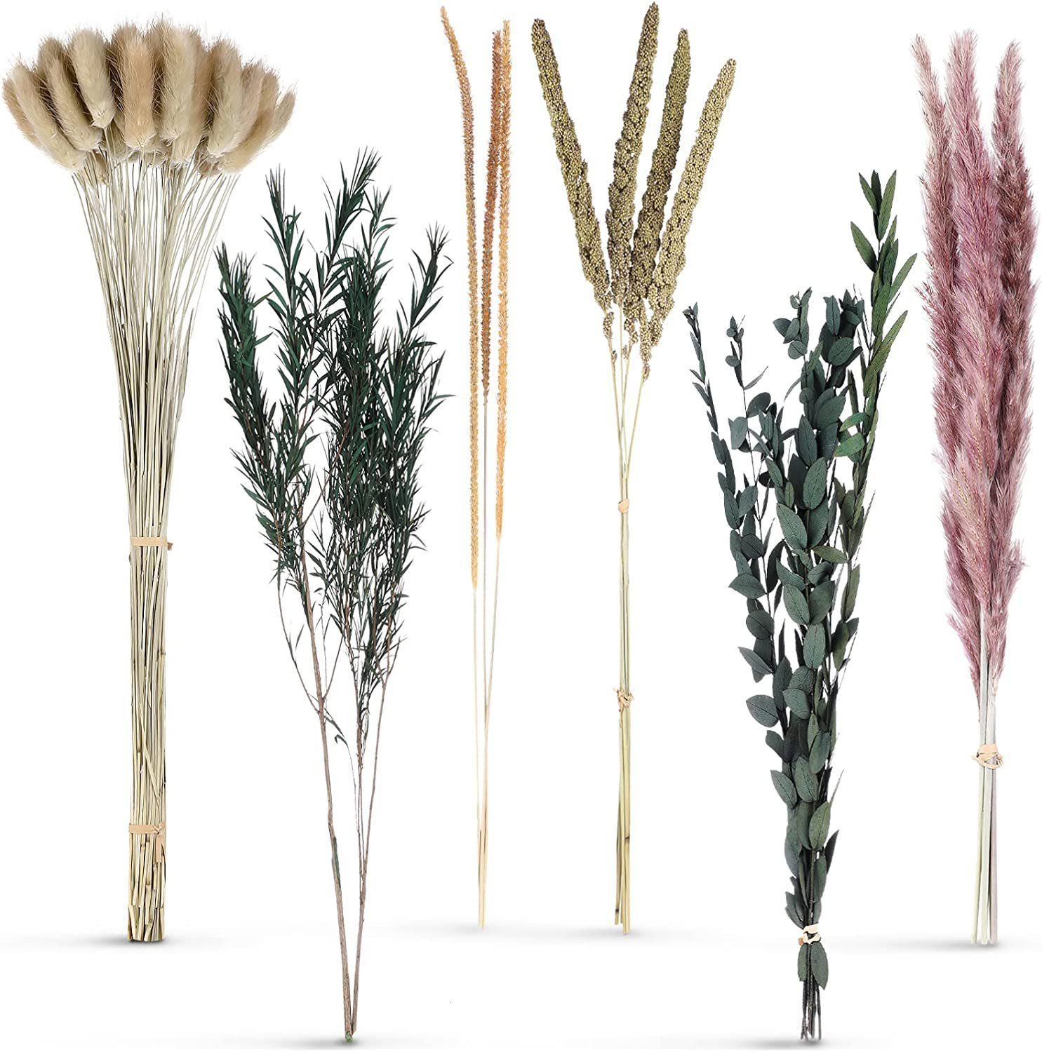 Trockenblume 100% Natürliche Trockenblumen,Pampasgras Trockenblumen Deko, 85 Stück Pampasgras Getrocknet, Flauschige Eukalyptus Pampasgras Getrocknete Blume, Mutoy, Höhe 45 cm, für Hochzeit Boho Deko,Wohnzimmer,Hochzeit