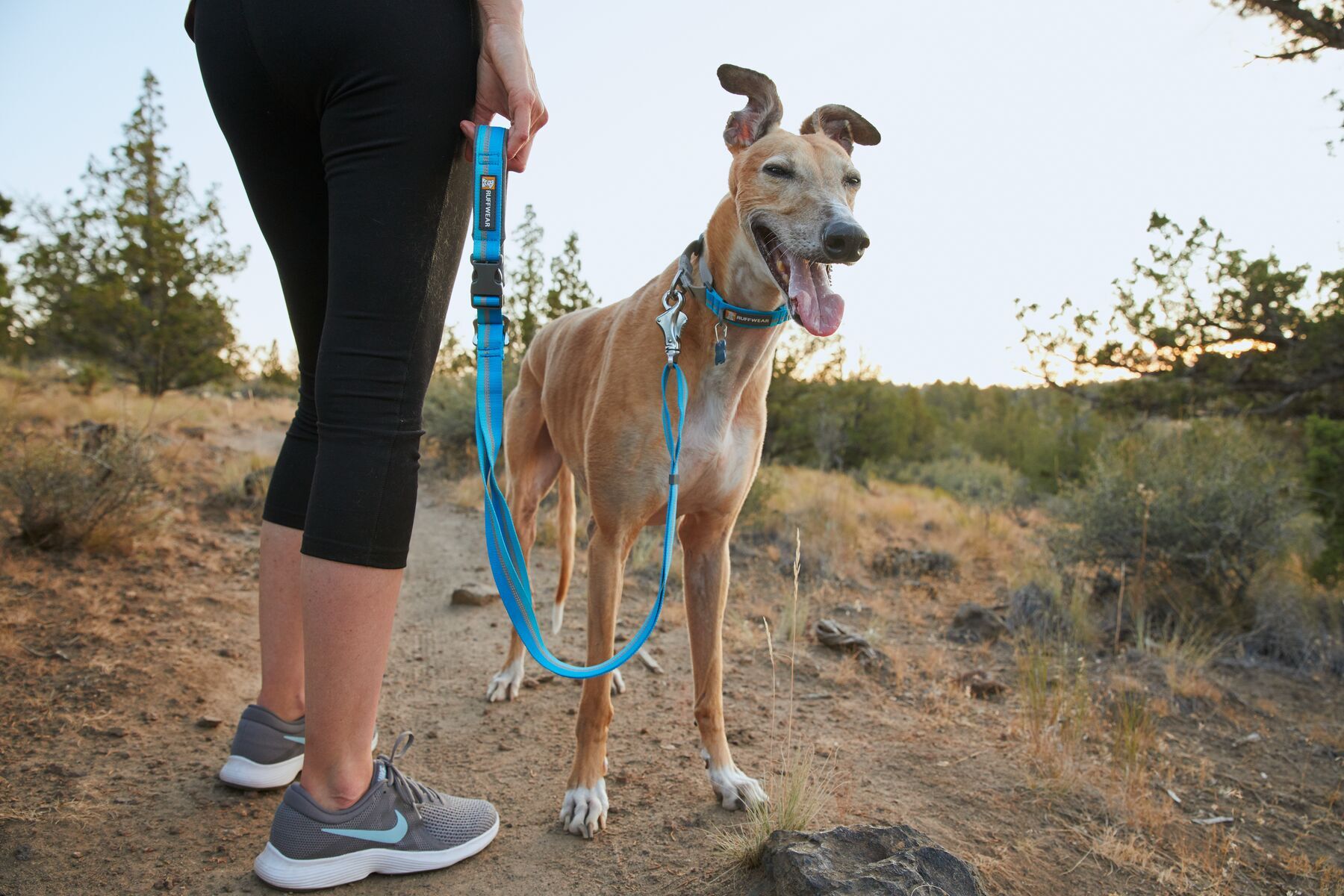 Ruffwear Hundehalsbänder Ruffwear Web Reaction™ Halsband grün XS