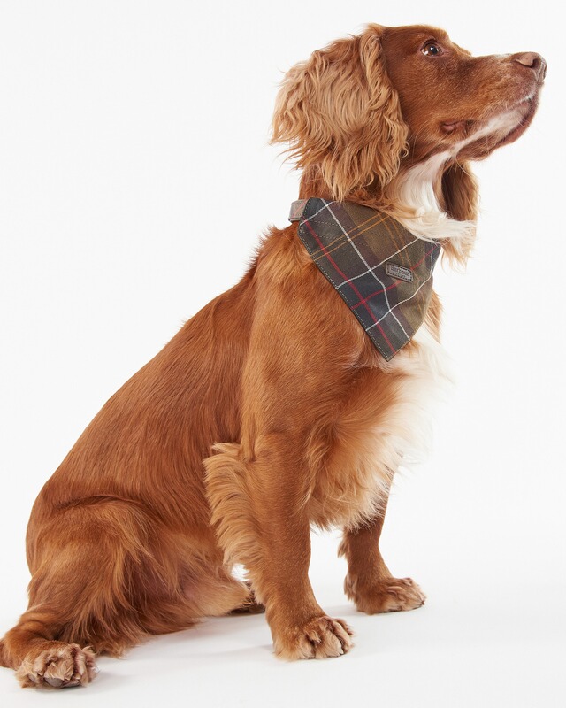 Barbour Barbour Hundehalstuch