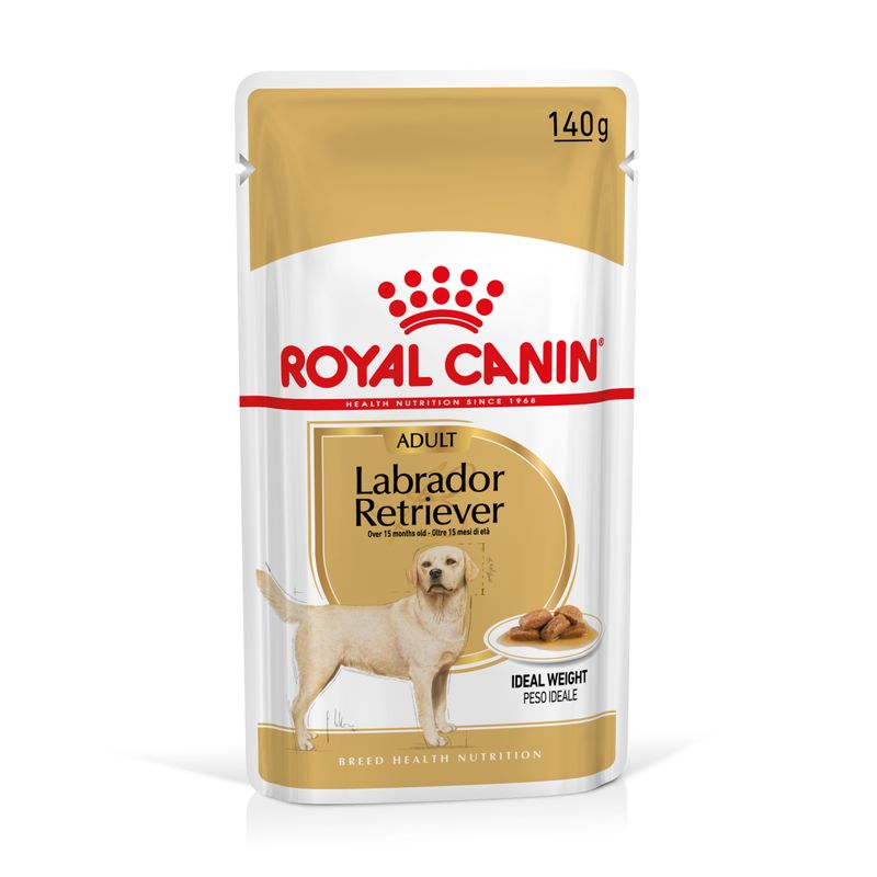 Royal Canin Labrador Retriever Adult in Soße