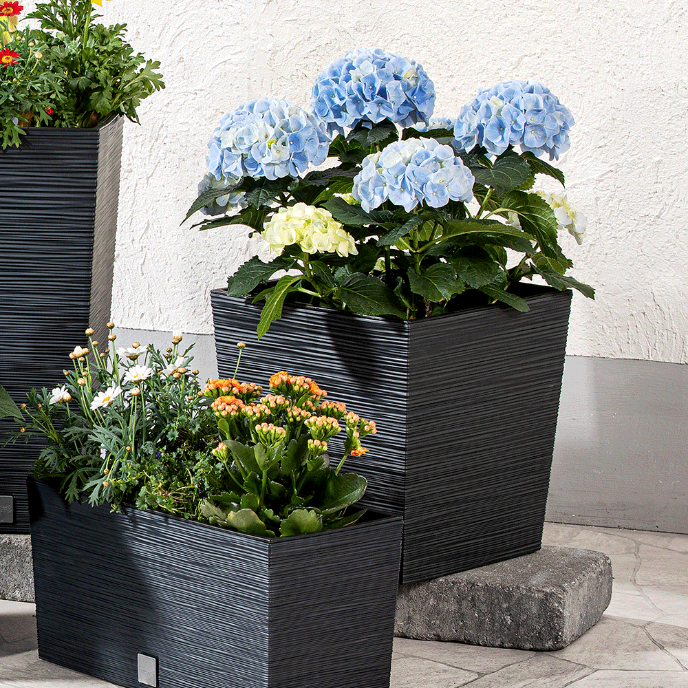 Protanic Powertec Garden Blumentopf 