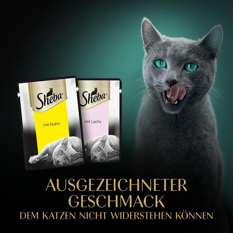 Sparpaket Sheba Fresh & Fine 72 x 50 g zu TOP-Preisen | bitiba %