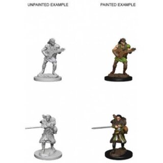 Human Male Bard: Nolzurs Marvelous Unpainted Minis