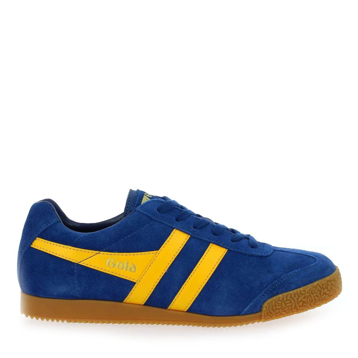 Gola  HARRIER GOLA CMA192 - Bleu Jaune