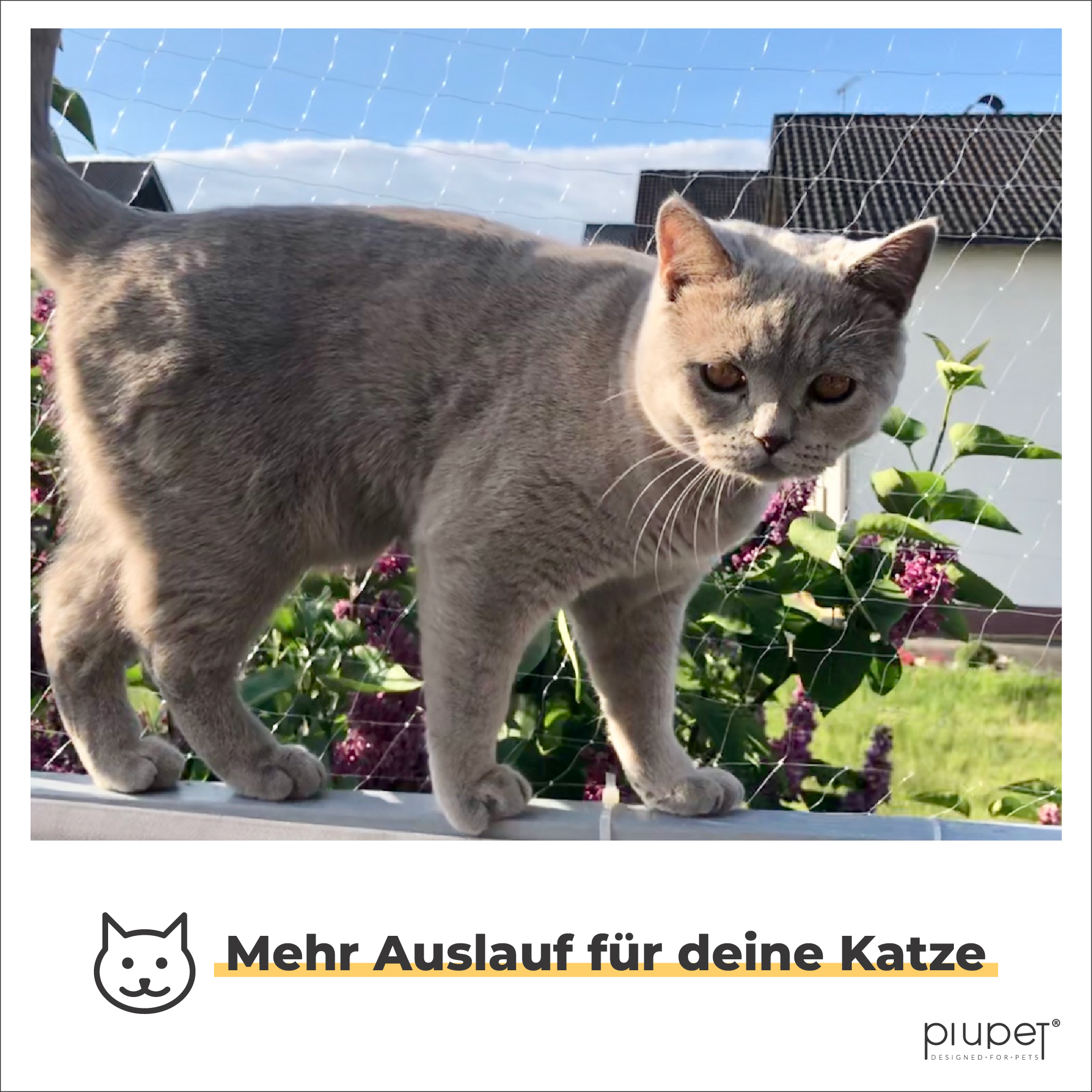 PIUPET Schutznetze PIUPET Katzennetz transparent