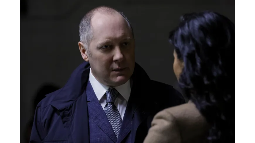 The Blacklist - Die komplette achte Season  [6 DVDs]