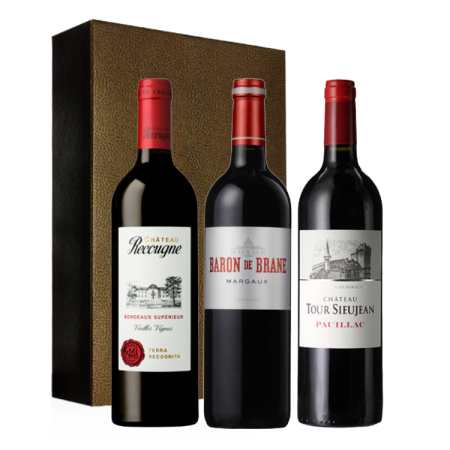 COFFRET TRIO - BORDEAUX SPÉCIAL MILLÉSIME 2014