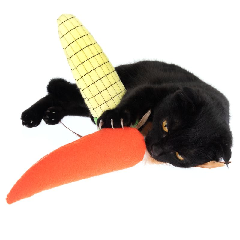 TIAKI Katzenspielzeug Set Veggies mit Katzenminze