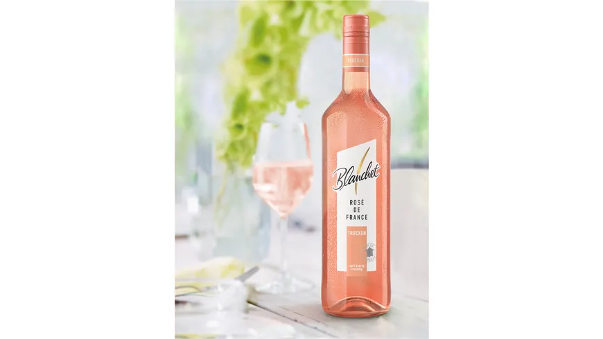 Blanchet Wein Rosé de France Trocken 750 ml