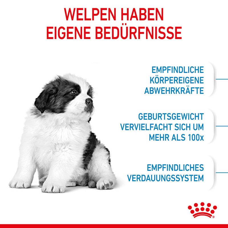 Royal Canin Giant Puppy zu TOP-Preisen