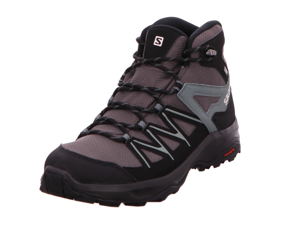 SALOMON Wanderschuhe grau Schuhe DAINTREE MID GTX Magnet