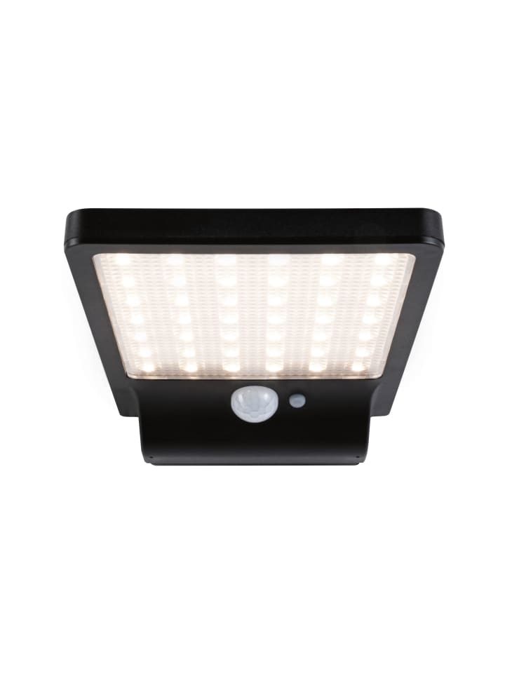 paulmann Solar LED Außenwandleuchte Solveig günstig kaufen onesize