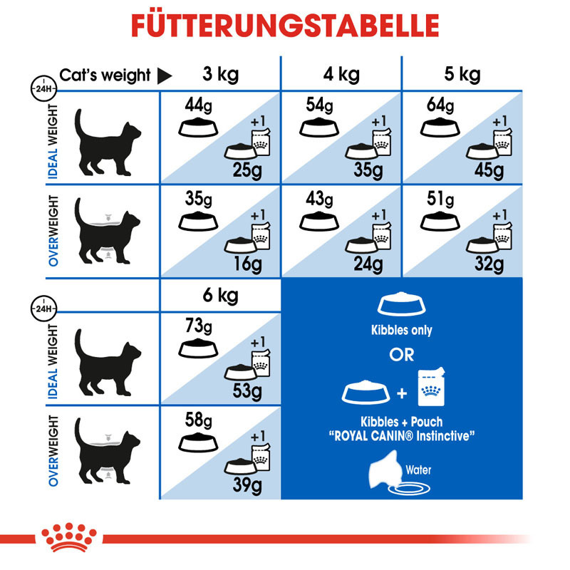 ROYAL CANIN Trockenfutter ROYAL CANIN Indoor Long Hair 400 g