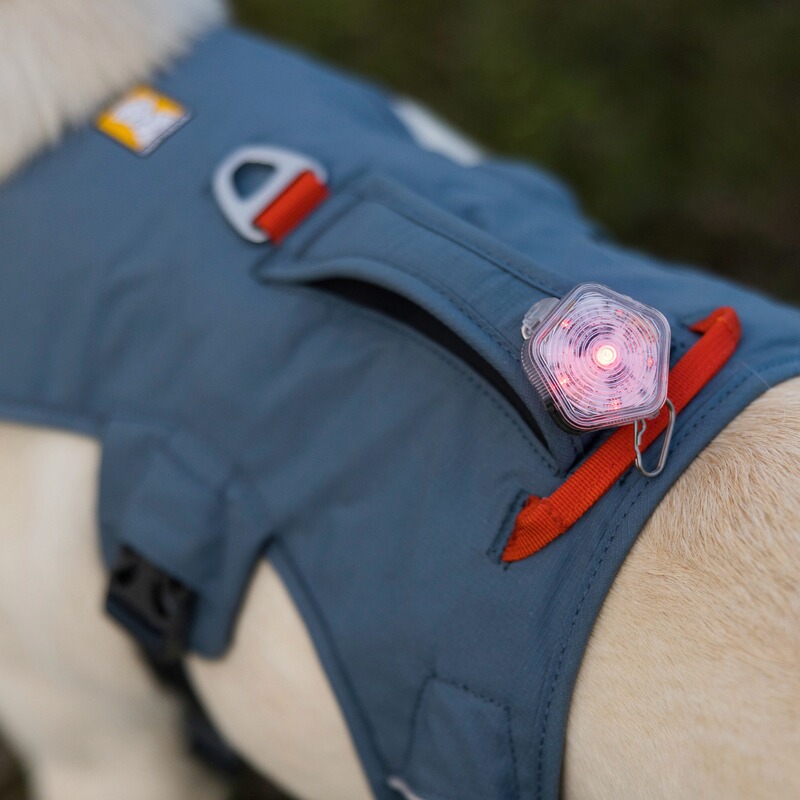 Ruffwear Hundegeschirr Web Master
