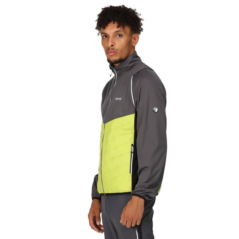 Regatta Steren Funktionsjacke Herren