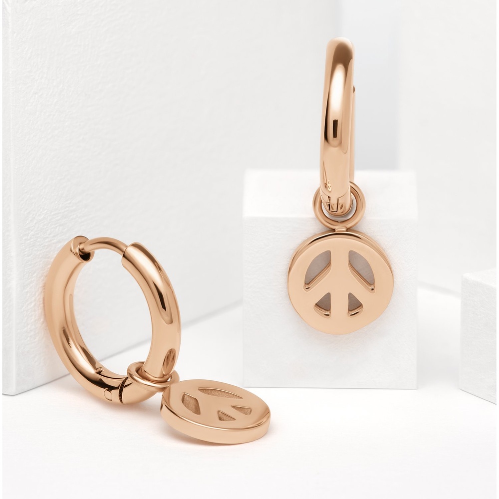 GMK Collection Créoles Acier inoxydable Boucles d'oreilles