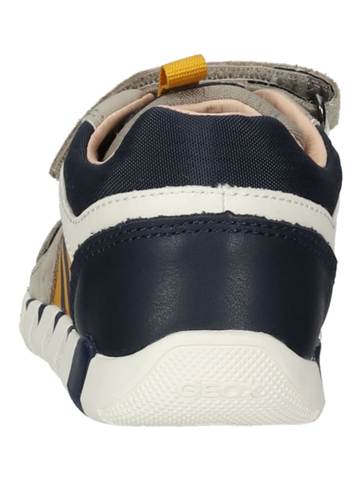 Geox Sneaker in Sand günstig kaufen 20