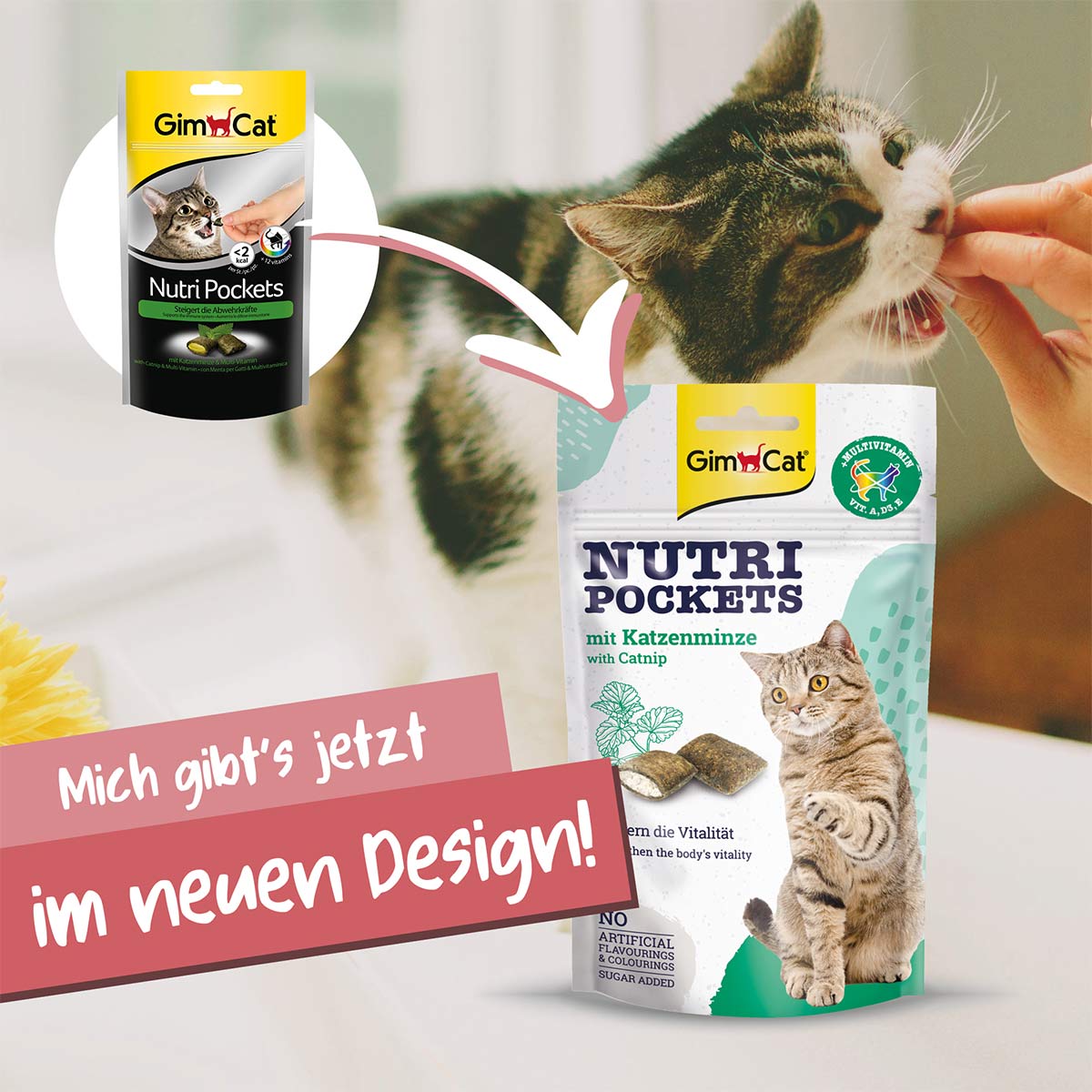 GimCat Nutri Pockets Katzenminze günstig kaufen