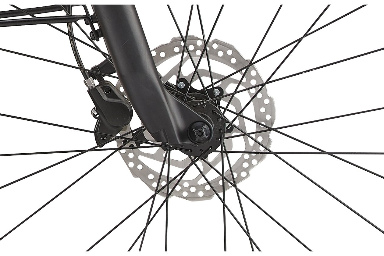 Giant DailyTour E+ 2 GTS - 496 Wh - Auslaufmodell - 28 Zoll - Diamant
