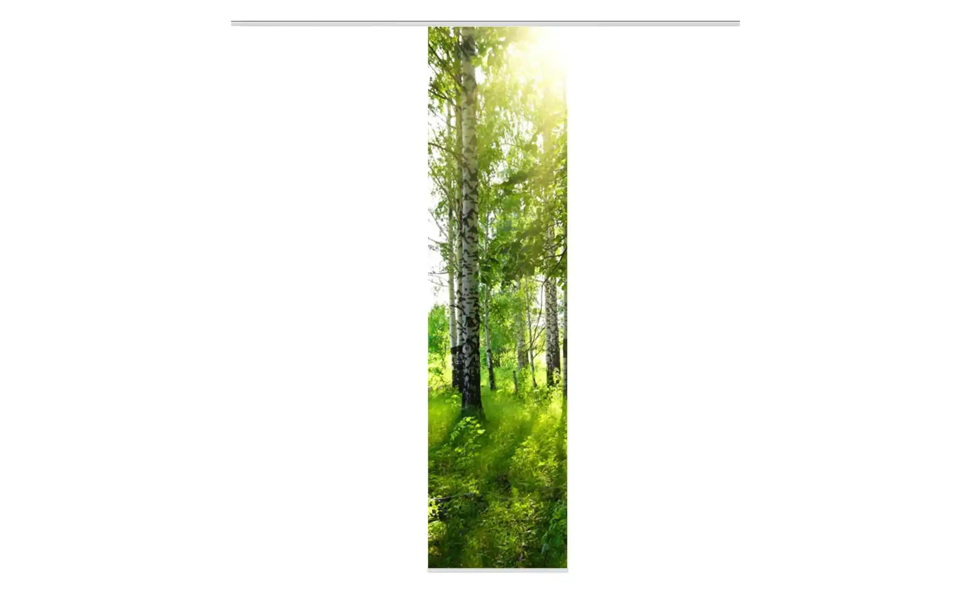 Schiebevorhang