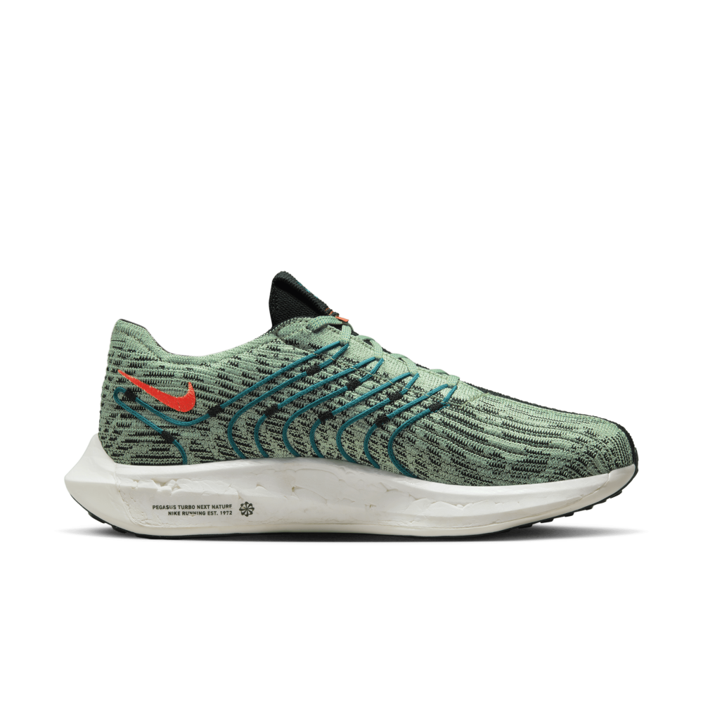 Nike Pegasus Turbo Next Nature DZ4850-300 / grün