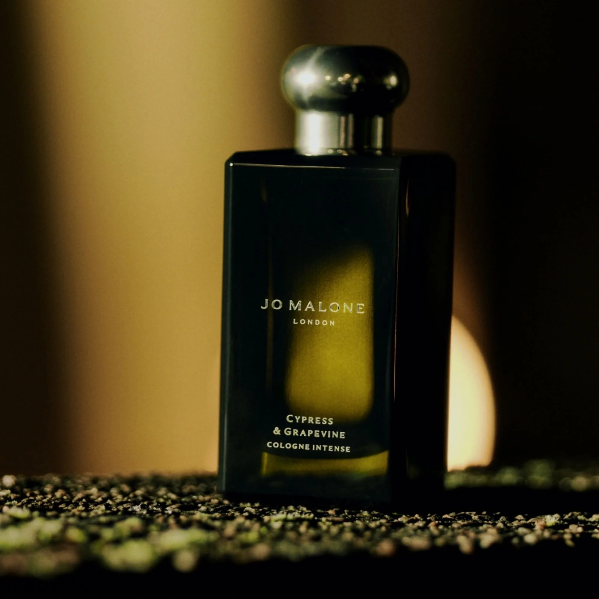 Colonie Intense Cypress & Grapevine - Colonia Unisex, Colonia, Eau de Parfum, Eau de Parfum Unisex