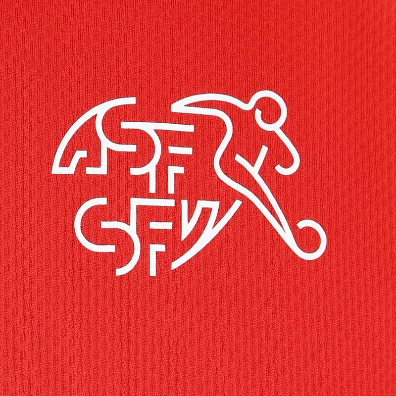 PUMA SFV Schweiz T-Shirt Herren