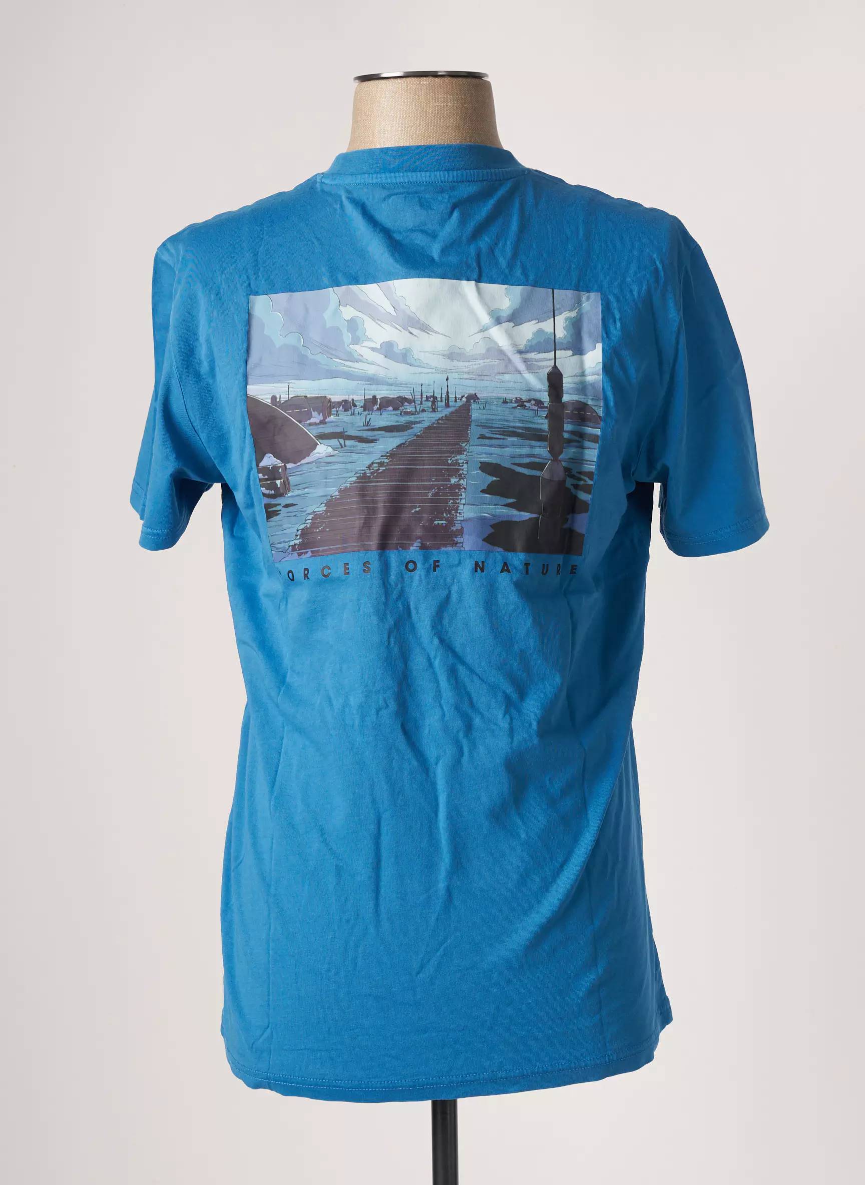 Element Tshirts Homme couleur bleu