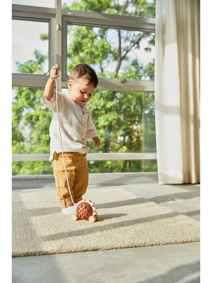 Plan Toys Nachzieh-Igel, braun ab 12 Monate günstig kaufen onesize