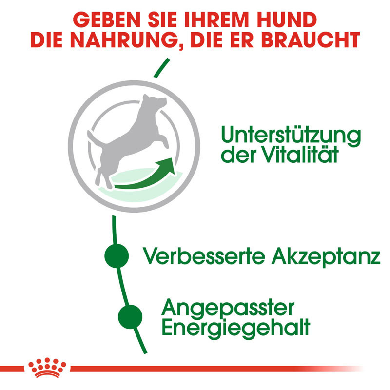 ROYAL CANIN Hundetrockenfutter ROYAL CANIN Mini Adult 8+ 2 kg