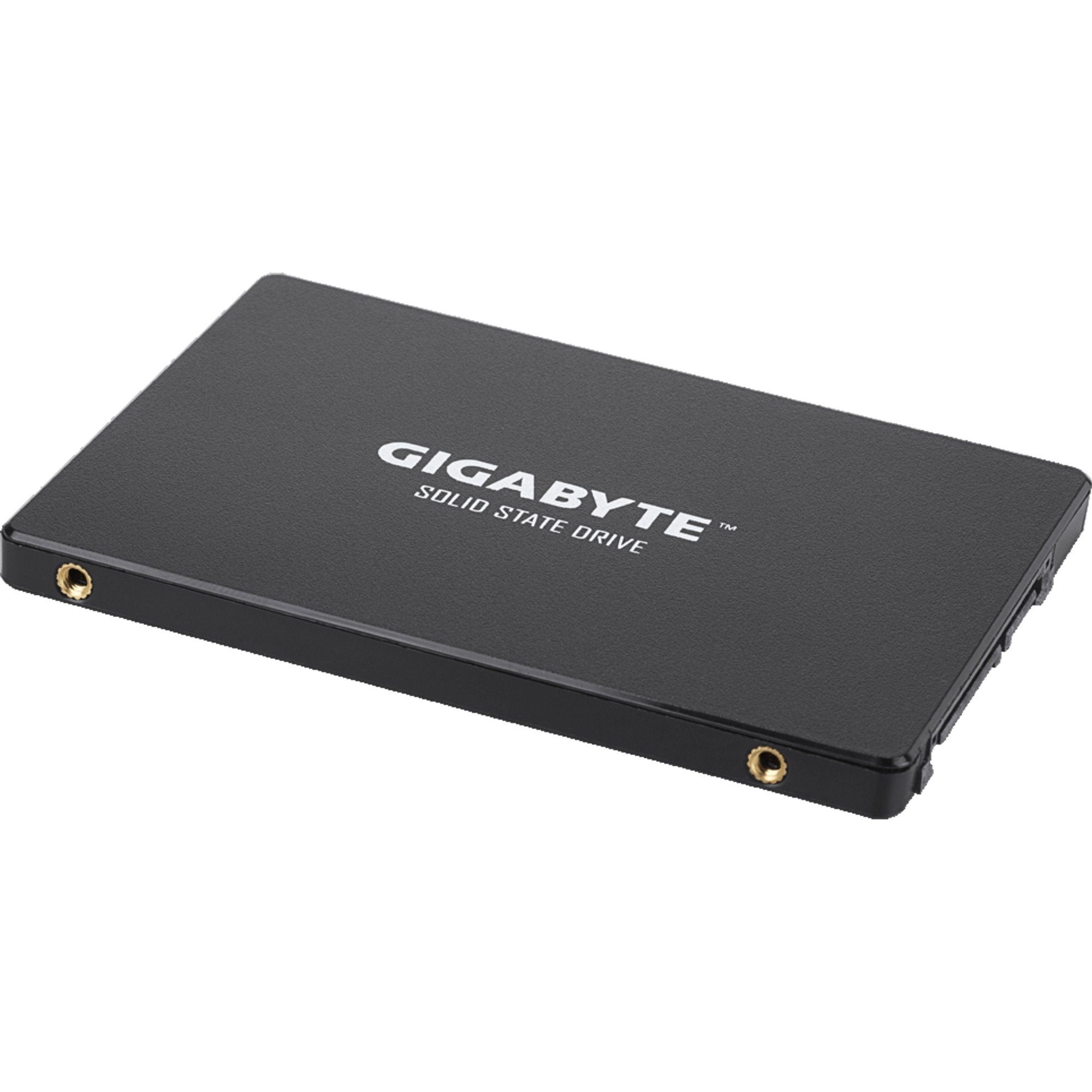 Gigabyte GIGABYTE SSD 256 GB, (SATA 6 Gb/s, 2,5) SSD-Festplatte