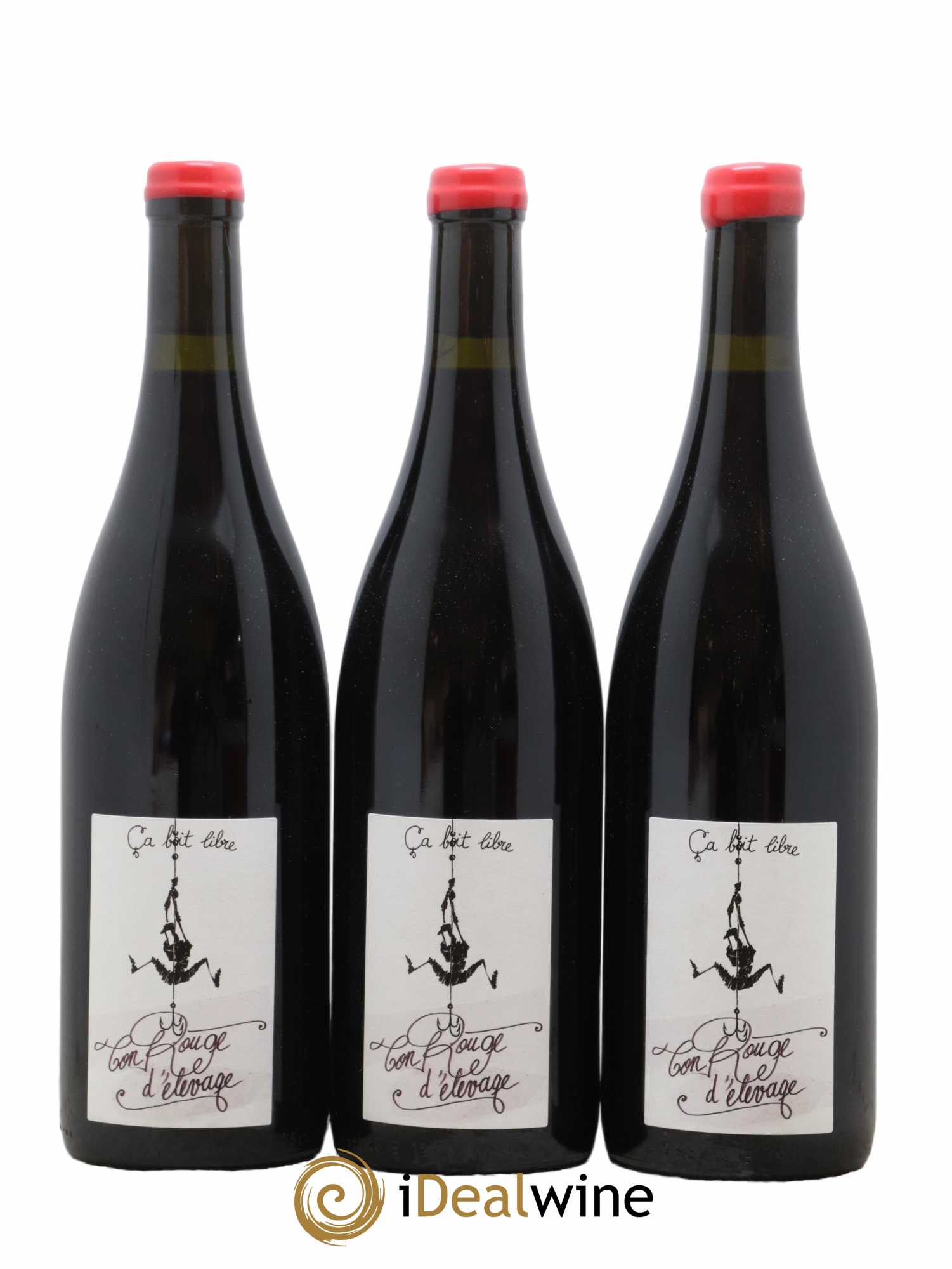 Vin de Savoie Ton rouge d'élevage Domaine Ca boit libre 2021 - Lot de 3 Bouteilles