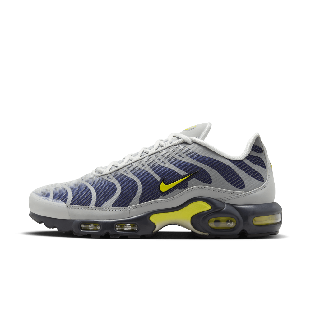 Nike Air Max Plus FZ4622-001 / grau