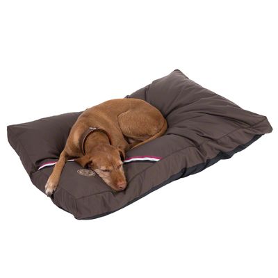 Hundekissen Champion