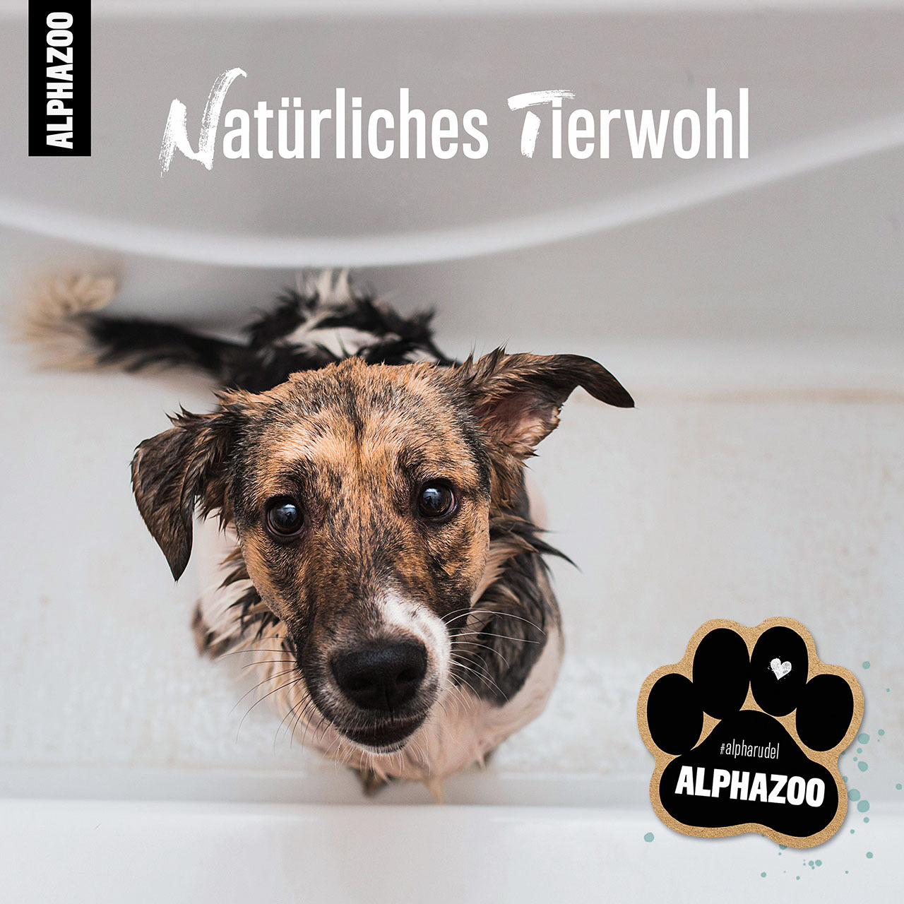 ALPHAZOO Fellpflege ALPHAZOO Every-Day Conditioner für Hunde & Katzen