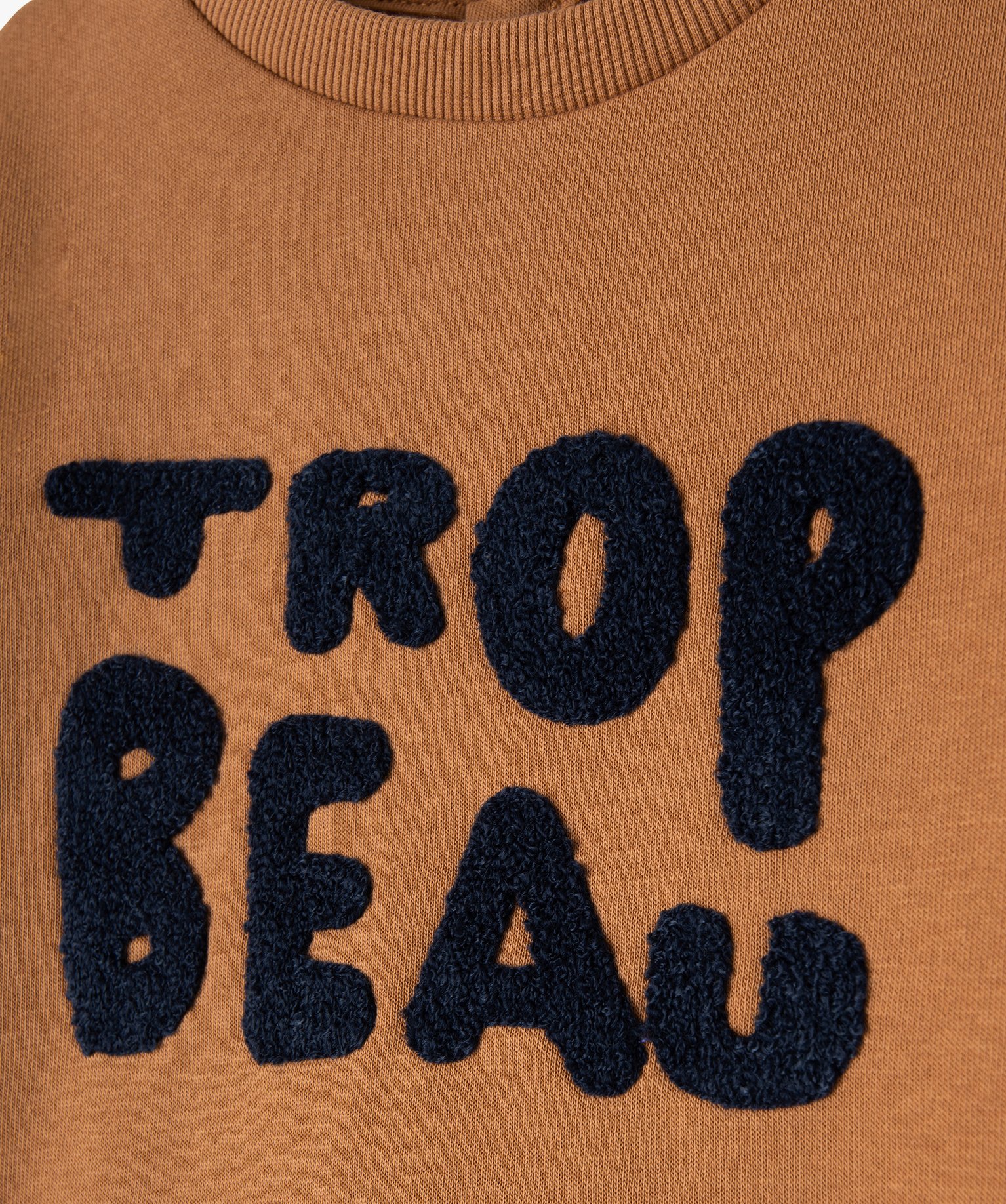 Sweat en molleton doux avec motifs bébé Garçon marron | GEMO