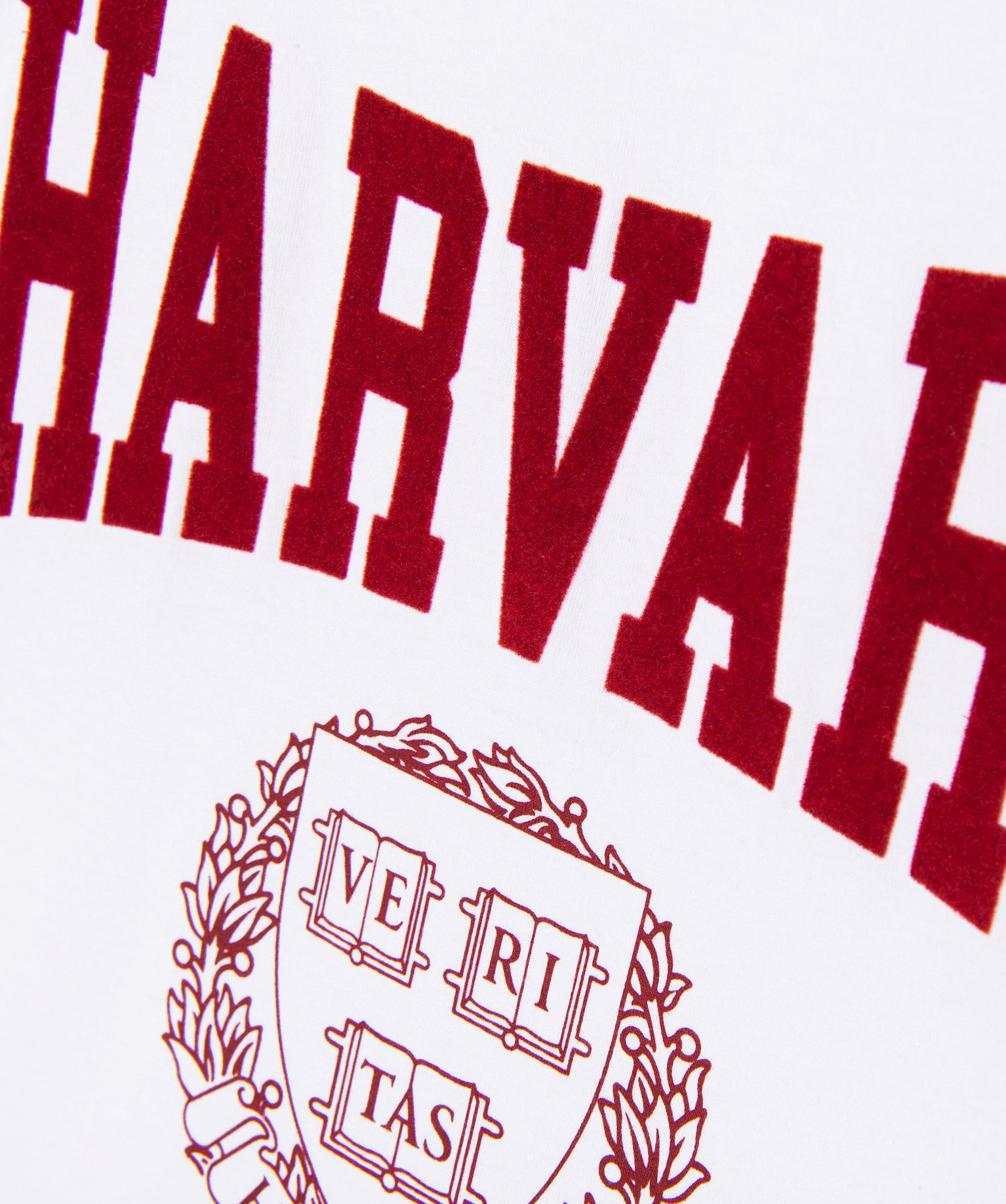 Tee-shirt large et court à manches courtes fille - Harvard ecru | GEMO