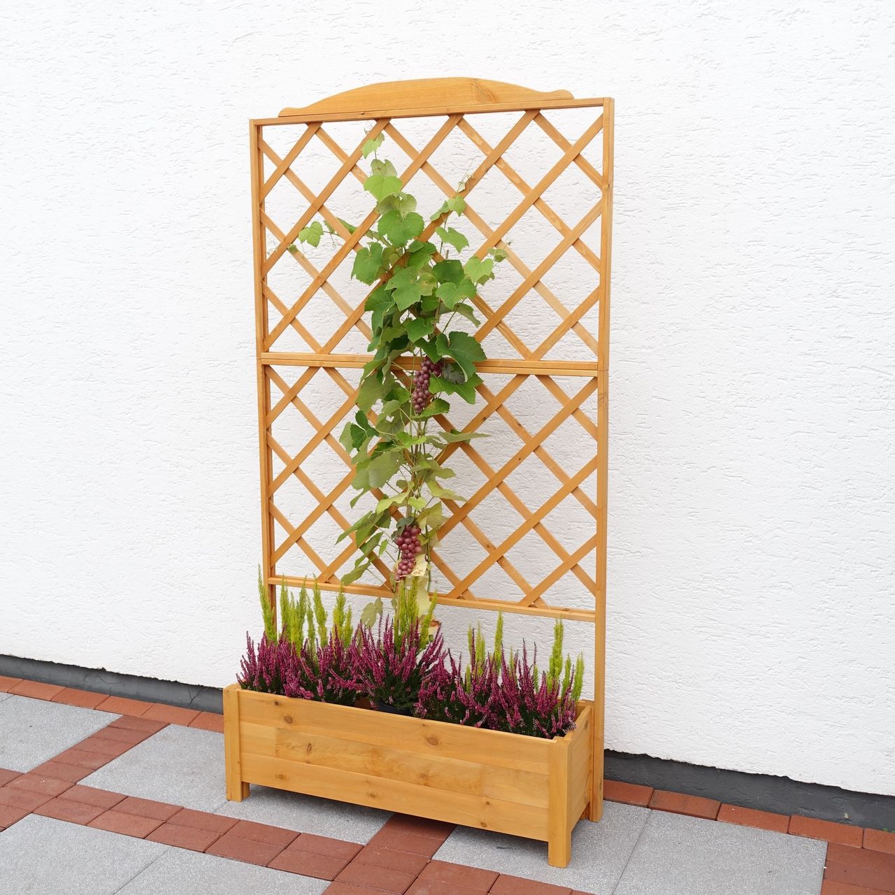 PROMEX Promadino Rankkasten Botanica 110x210 cm