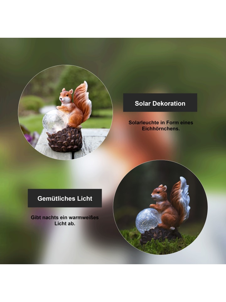 STAR Trading LED Solar-Figur Squirrel, Eichhörnchen günstig kaufen onesize
