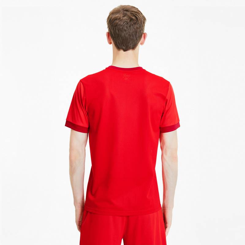 PUMA teamGOAL 23 Funktionsshirt Herren