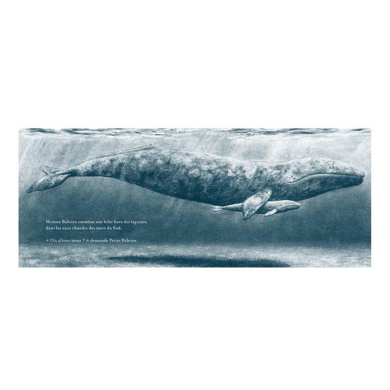 Livre Petite baleine - L'école des loisirs