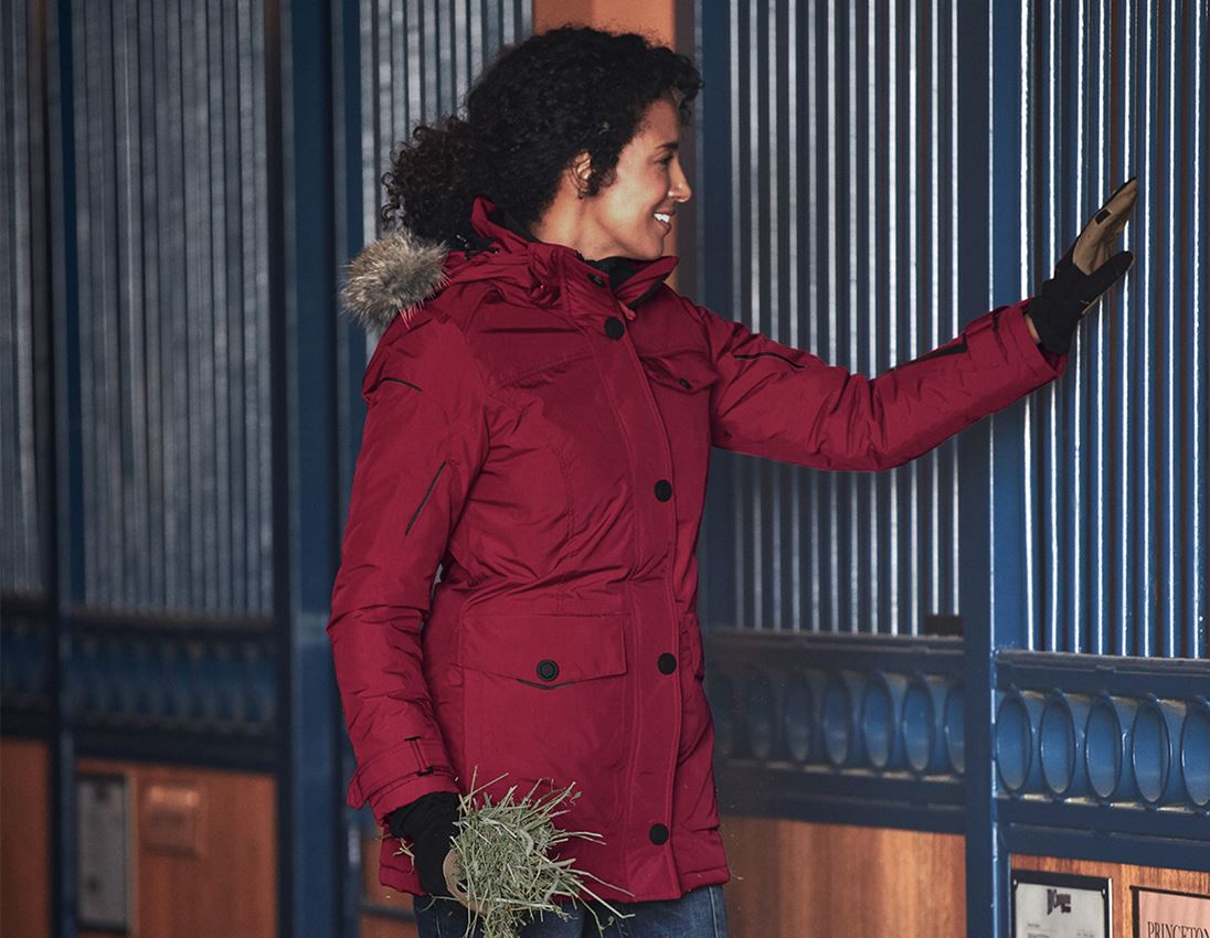 Winter Parka e.s.vision, Damen