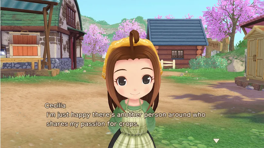 Story of Seasons - A Wonderful Life